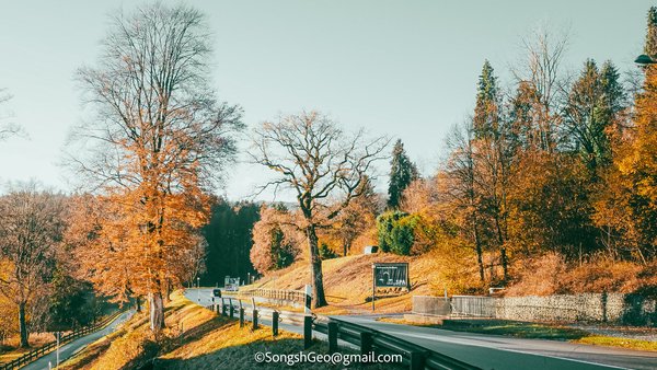 Alpine light by the lake