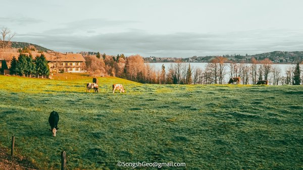 Hills over Tegernsee at dusk